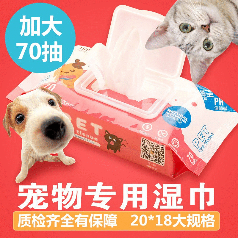 清洁宠物湿巾猫咪狗狗湿巾宠物专用湿纸巾夏季小狗用品70片装通用