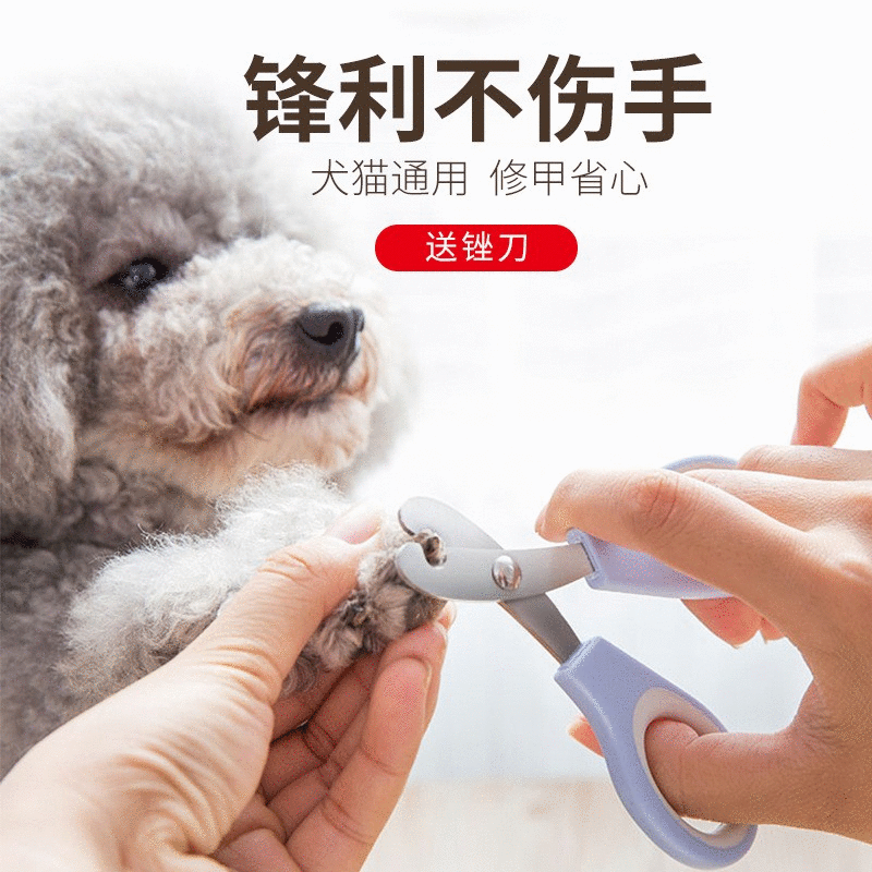 剪指甲刀小型犬泰迪专用狗狗指甲剪指甲钳猫咪磨甲器