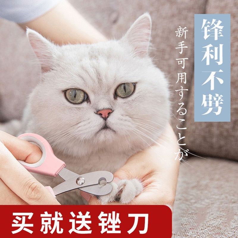 泰迪狗狗指甲钳猫咪指甲剪送锉刀宠物剪指甲